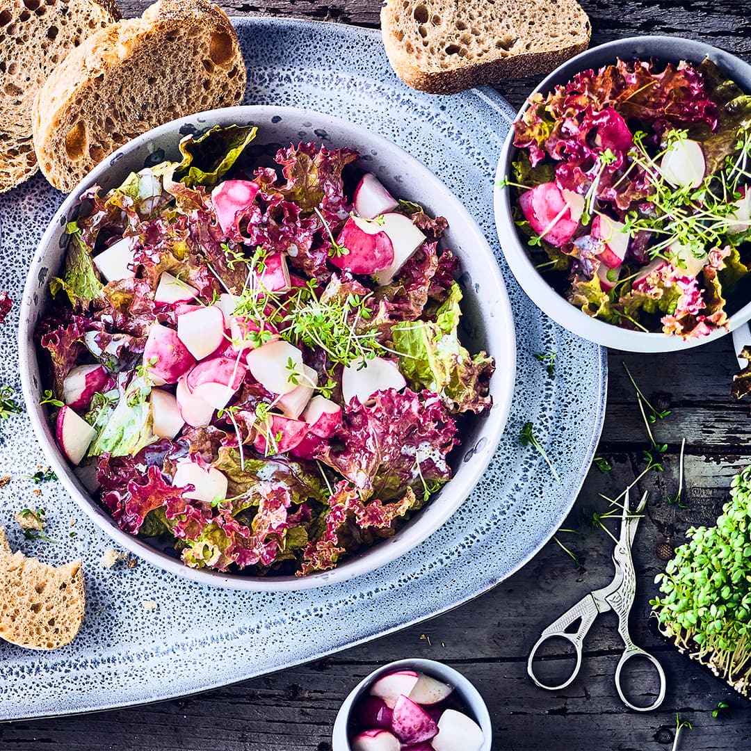 Roter Kopfsalat mit Ayran