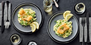 Steinbeißerfilet auf Erbsen-Risotto