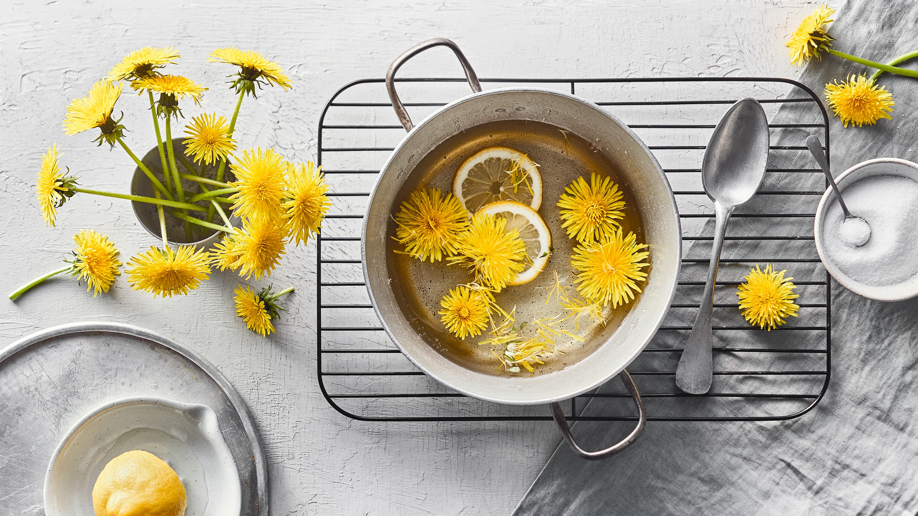 Rezept für Löwenzahnhonig Ein Topf mit klarer Flüssigkeit, Löwenzahn-Blüten und Zitronenscheiben, auf einem Backofenrost.